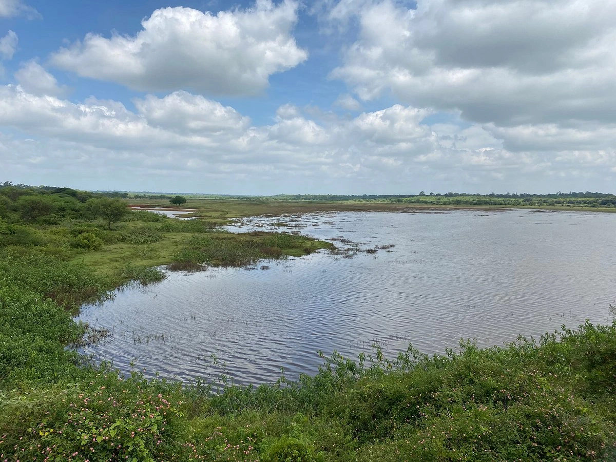 Hesaraghatta Lake
