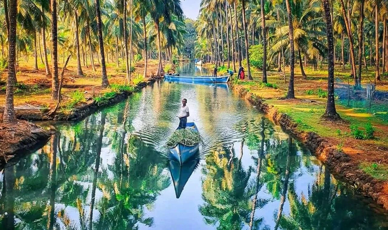 Sharavathi Backwaters
