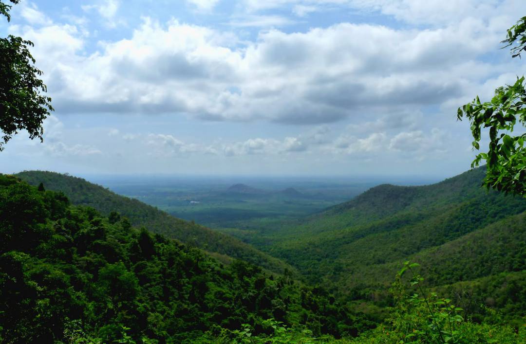 BR Hills (Biligirirangana Hills)
