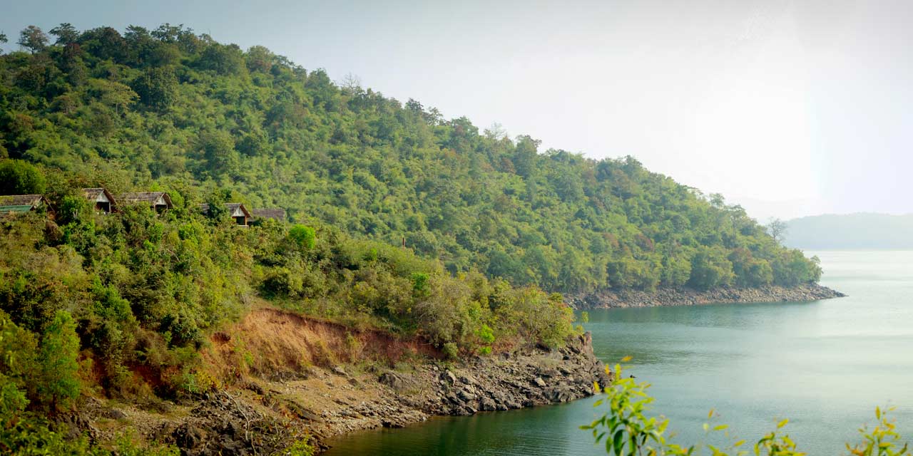 Bhadra Wildlife Sanctuary